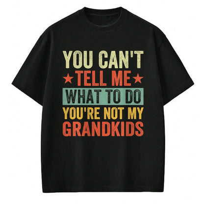 Best Grandpa Shirt, Proud Grandpa Unisex T-Shirt/Hoodie/Sweatshirt HLT00 - You can't Tell me what to do You're not my Grandkids T-Shirt