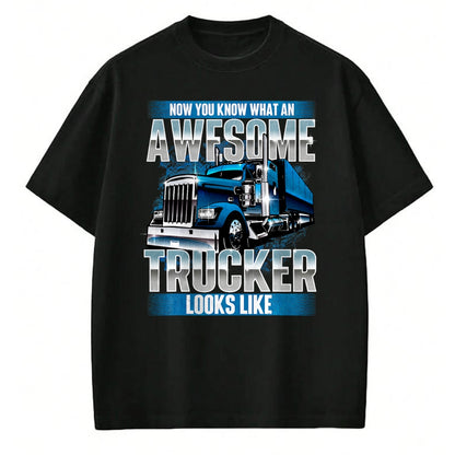 Best Truck Driver Life Shirt, Funny Trucker UnisexT-Shirt/Hoodie/Sweatshirt HLT00 - Awesome Trucker - Semi Truck Driver Trucking Big Rig Trucker T-Shirt
