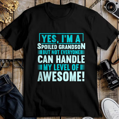 Best Grandpa Shirt, Proud Grandpa Unisex T-Shirt/Hoodie/Sweatshirt HLT00 - Grandma Spoiled Grandson Grandparents T-Shirt