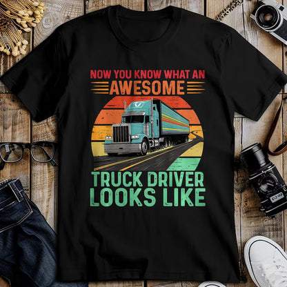 Best Truck Driver Life Shirt, Funny Trucker UnisexT-Shirt/Hoodie/Sweatshirt HLT00 - Awesome Truck driver Trucker Design For Men Truck Driver Premium Tri-blend T-Shirt