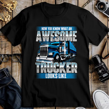 Best Truck Driver Life Shirt, Funny Trucker UnisexT-Shirt/Hoodie/Sweatshirt HLT00 - Awesome Trucker - Semi Truck Driver Trucking Big Rig Trucker T-Shirt