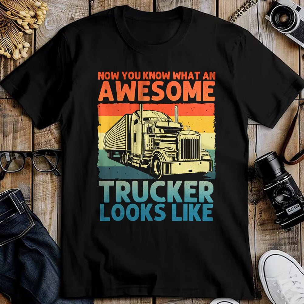 Best Truck Driver Life Shirt, Funny Trucker UnisexT-Shirt/Hoodie/Sweatshirt HLT00 - Best Truck Driver Art for Men Dad Women Trucking CDL Trucker T-Shirt (5)