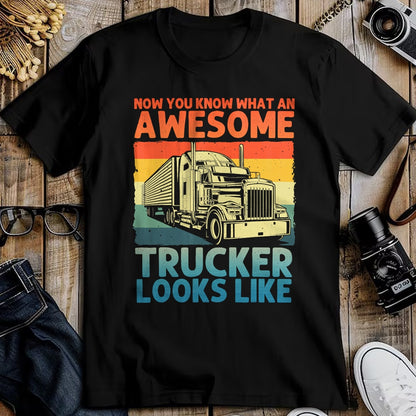 Best Truck Driver Life Shirt, Funny Trucker UnisexT-Shirt/Hoodie/Sweatshirt HLT00 - Best Truck Driver Art for Men Dad Women Trucking CDL Trucker T-Shirt (5)