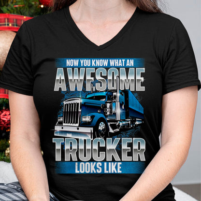 Best Truck Driver Life Shirt, Funny Trucker UnisexT-Shirt/Hoodie/Sweatshirt HLT00 - Awesome Trucker - Semi Truck Driver Trucking Big Rig Trucker T-Shirt