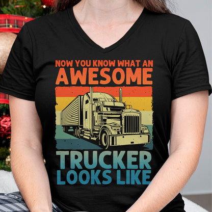Best Truck Driver Life Shirt, Funny Trucker UnisexT-Shirt/Hoodie/Sweatshirt HLT00 - Best Truck Driver Art for Men Dad Women Trucking CDL Trucker T-Shirt (5)