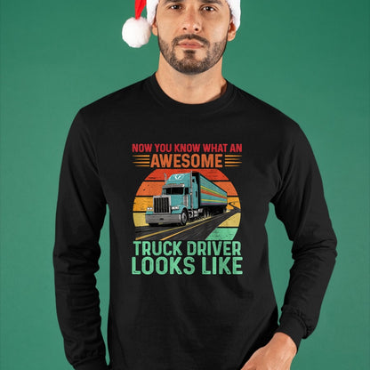 Best Truck Driver Life Shirt, Funny Trucker UnisexT-Shirt/Hoodie/Sweatshirt HLT00 - Awesome Truck driver Trucker Design For Men Truck Driver Premium Tri-blend T-Shirt