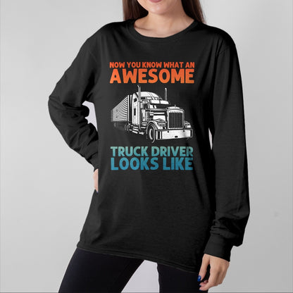 Best Truck Driver Life Shirt, Funny Trucker UnisexT-Shirt/Hoodie/Sweatshirt HLT00 - Truck Driver Art for Men Women Truck Driver Trucking Trucker T-Shirt