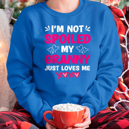 Best Wife Shirt, Wife and Husband Unisex T-Shirt/Hoodie/Sweatshirt HLT00 - I'm Not Spoiled My Granny Just Loves Me Kids Granddaughter T-Shirt