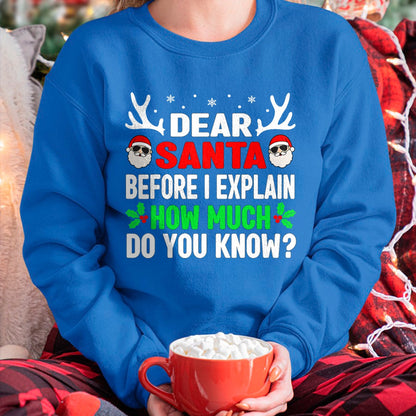 Christmas Shirts for Family, Funny christmas shirts, Christmas Unisex T-Shirt/Hoodie/Sweatshirt HLT00 - Funny Christmas Kids Adults Dear Santa I Can Explain T-Shirt