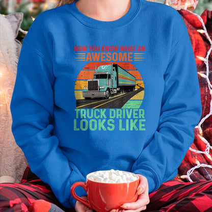 Best Truck Driver Life Shirt, Funny Trucker UnisexT-Shirt/Hoodie/Sweatshirt HLT00 - Awesome Truck driver Trucker Design For Men Truck Driver Premium Tri-blend T-Shirt