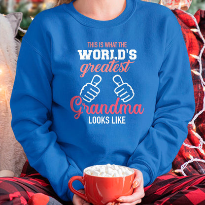 Best Grandma Shirt, Proud Grandma Unisex T-Shirt/Hoodie/Sweatshirt HLT00 - This is what world's greatest grandma looks like T-Shirt (2)