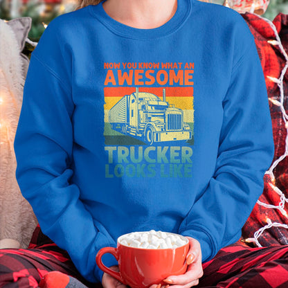 Best Truck Driver Life Shirt, Funny Trucker UnisexT-Shirt/Hoodie/Sweatshirt HLT00 - Best Truck Driver Art for Men Dad Women Trucking CDL Trucker T-Shirt (5)